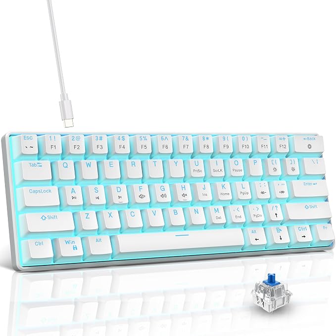 White(Ice Blue Light)/Blue Switch