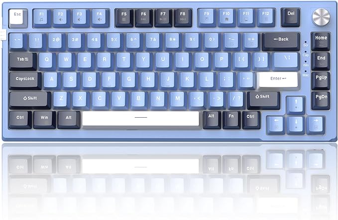 Prussian Blue / Blue Whale Switch