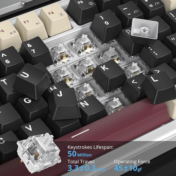 82 Roman/White Switch