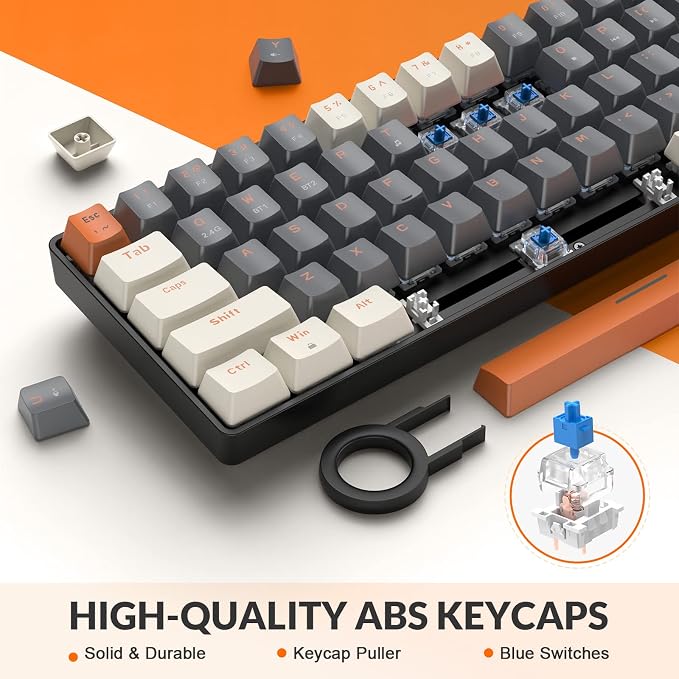 Orange & Grey/Blue Switch