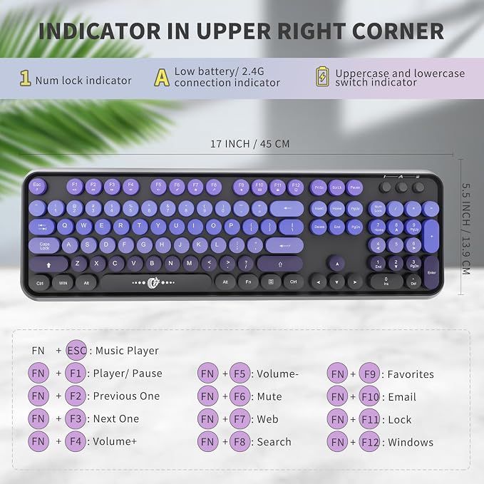 V2020 Black Purple