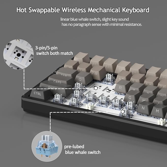 Black/Blue Whale Switch