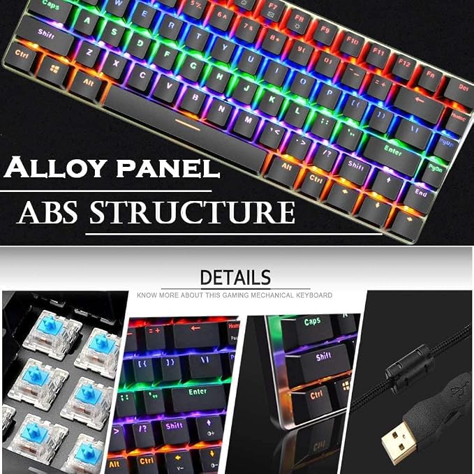 Black Rainbow backlit