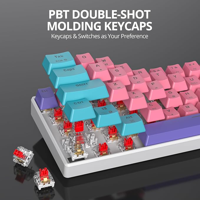 zhi/red Switch