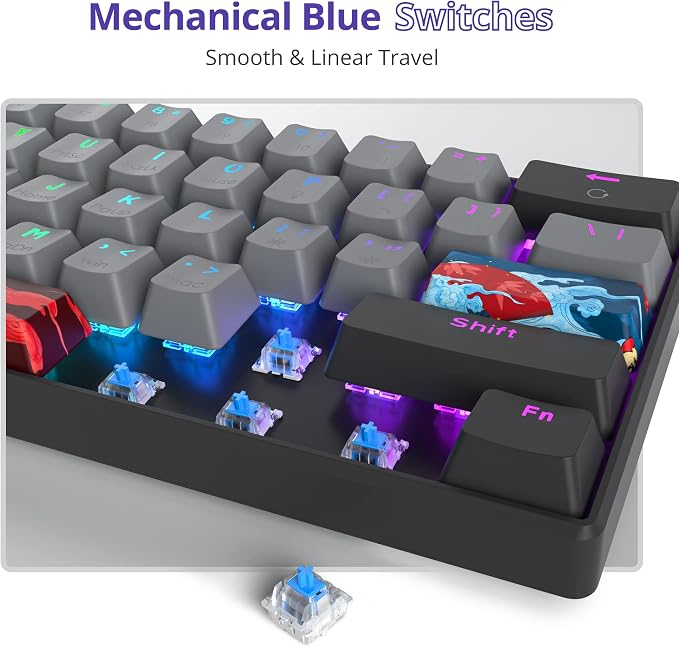 Black/ Blue Switch