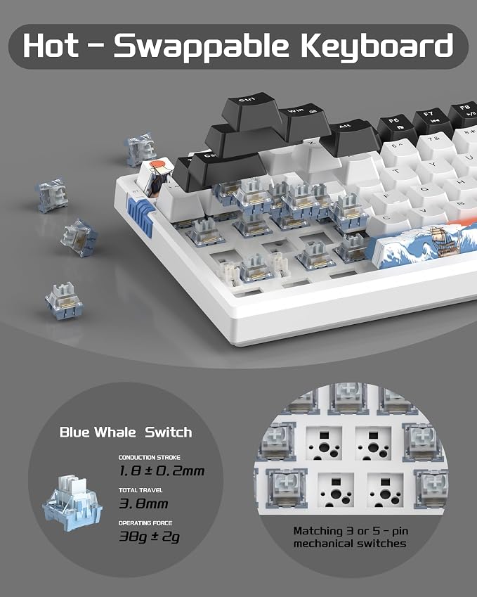 Waves / Blue Whale Switch
