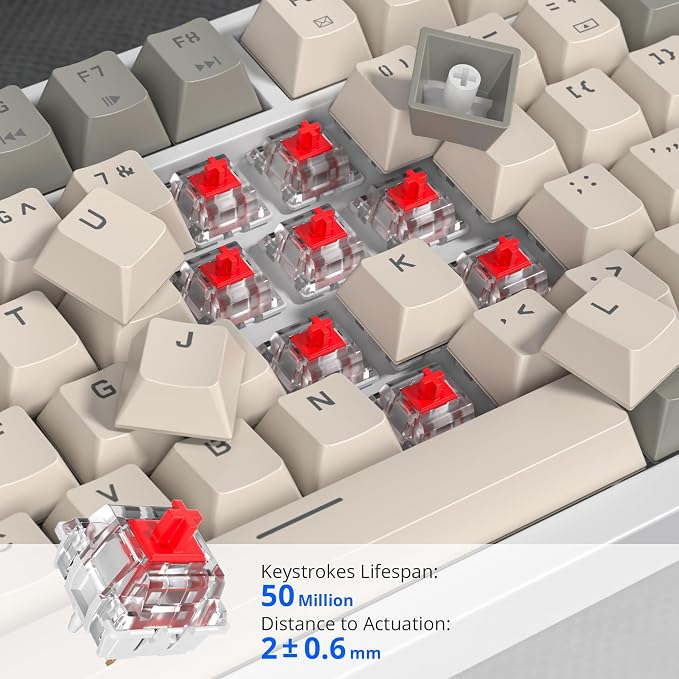 82 Beige Grey/Red Switch