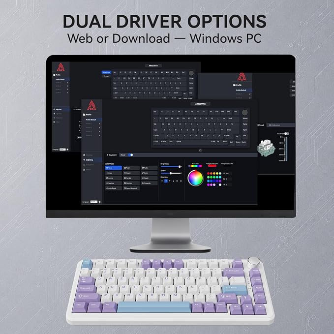 Magnetic Switch Purple-White