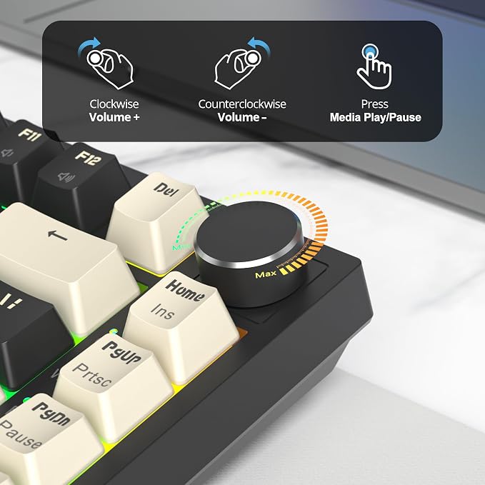 Black/GrayCreamSwitch