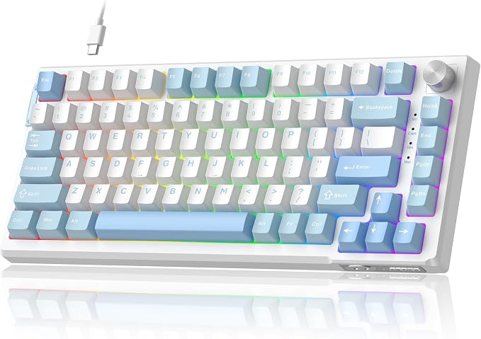 Ice Sea Blue / Pink Bear Switch