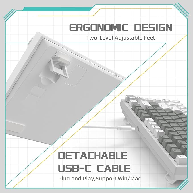 white grey/HP red switches