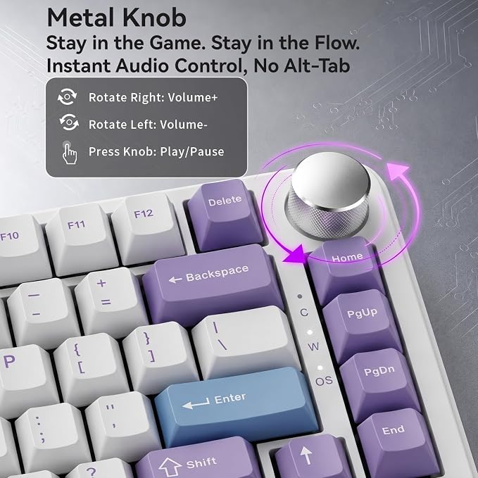 Magnetic Switch Purple-White