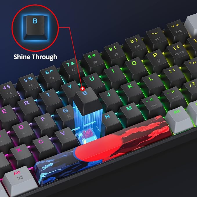 Dark/ 68 Red Switch