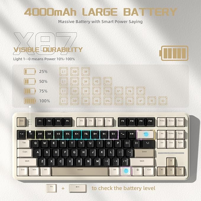 Cheese White