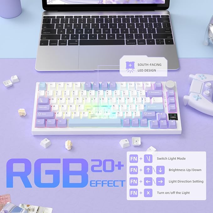 purple white blue/gift switches