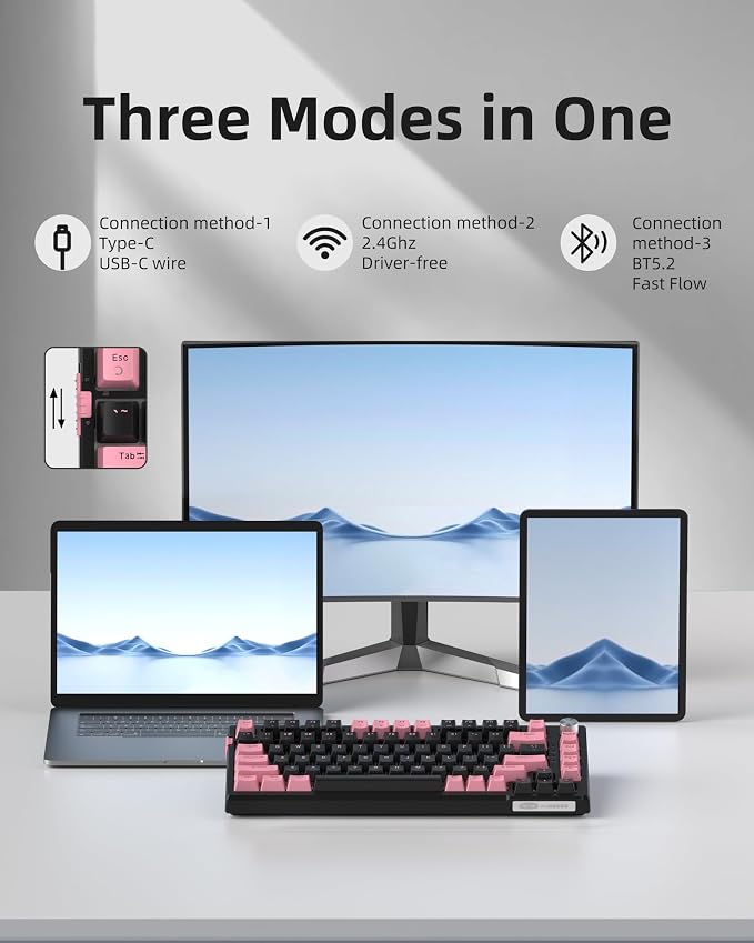 Pink & Black / Blue Whale Switch