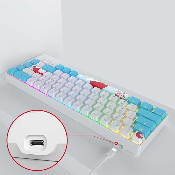 Blue/Blue Switch