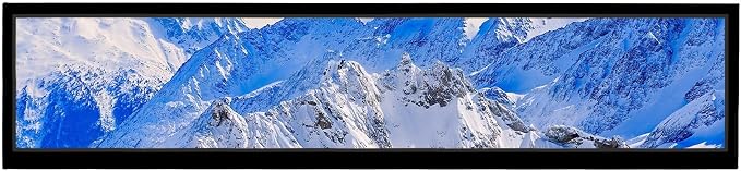24'' LCD