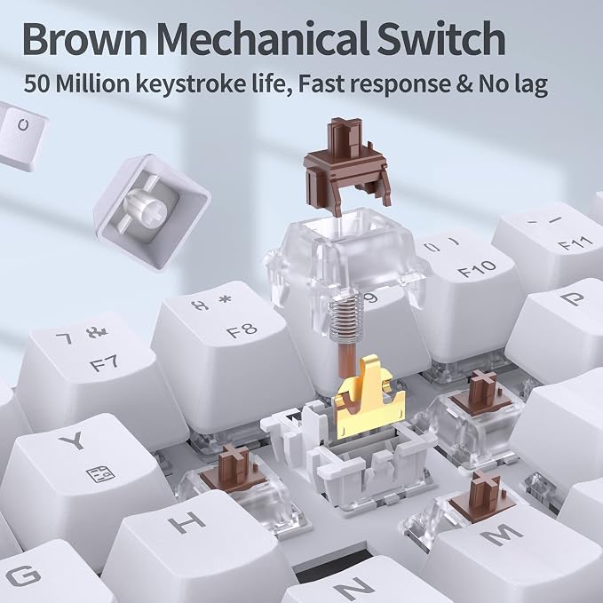White/Brown Switch