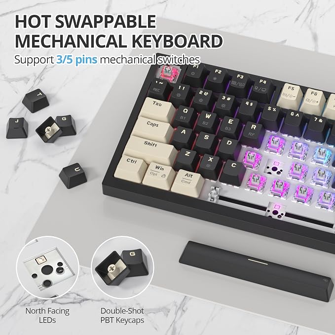 Black/GrayCreamSwitch
