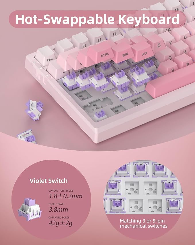 White & Pink / Violet Switch
