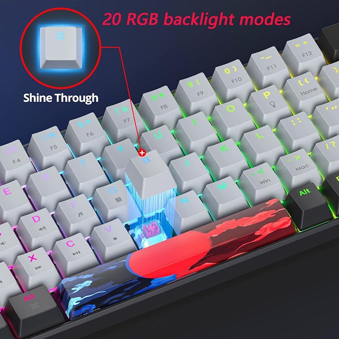 Dolch/red Switch 68