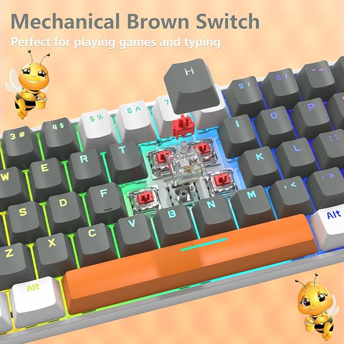 Light Gray/Red Switch