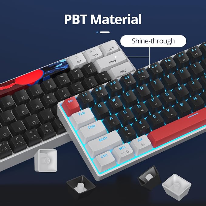 61 White & Black/Red Switch