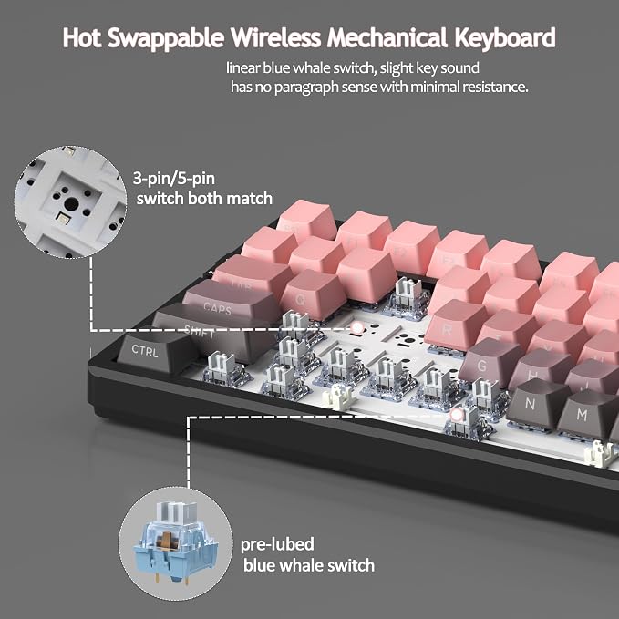 Pink/Blue Whale Switch
