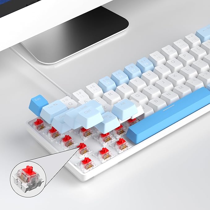 Sky Blue/Red Switch