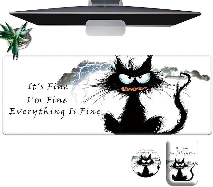 Funny Black Cat