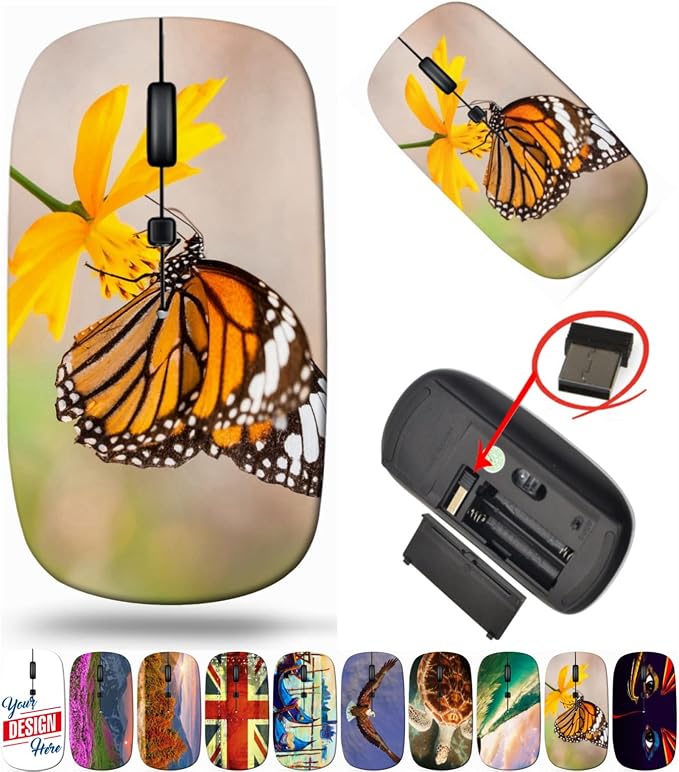 BYADAUanEA_MONARCH BUTTERFLY ON_272
