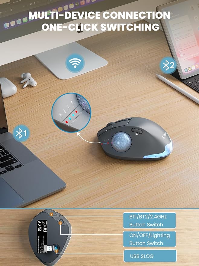 Gray Mouse
