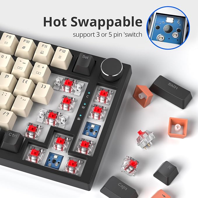 Carbon /Red Switch