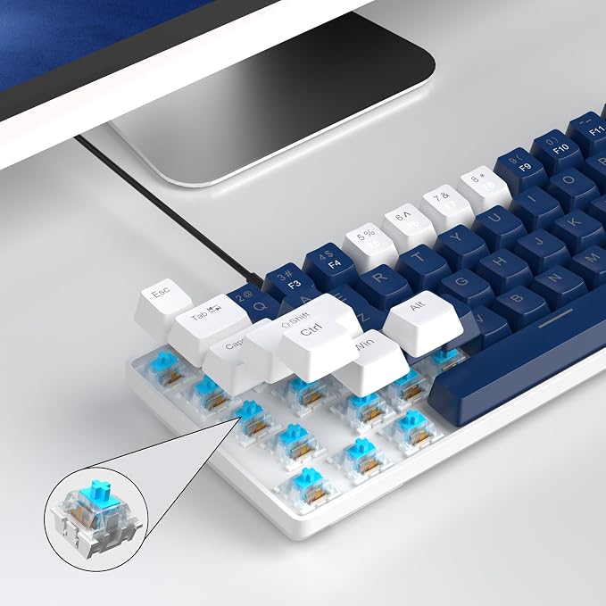Blue/Blue Switch