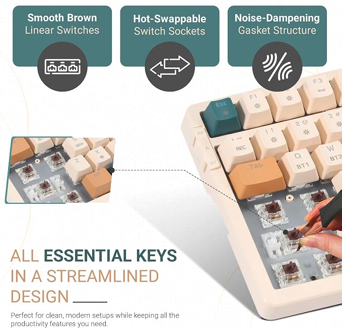 Brown Switch-Brown Combo