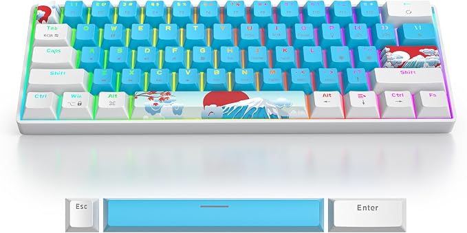61 Blue/Red Switch