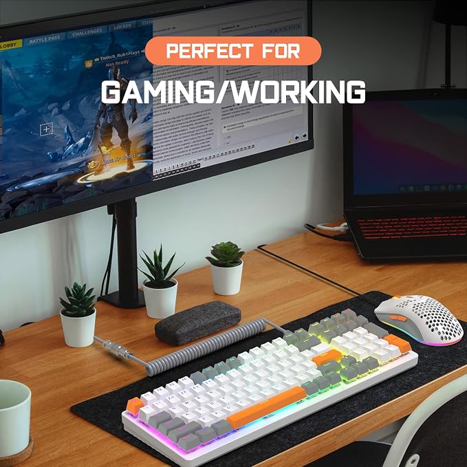 White-Red Switch&Mouse