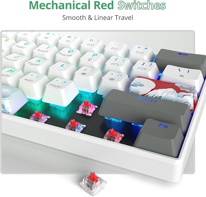 White/ Red Switch