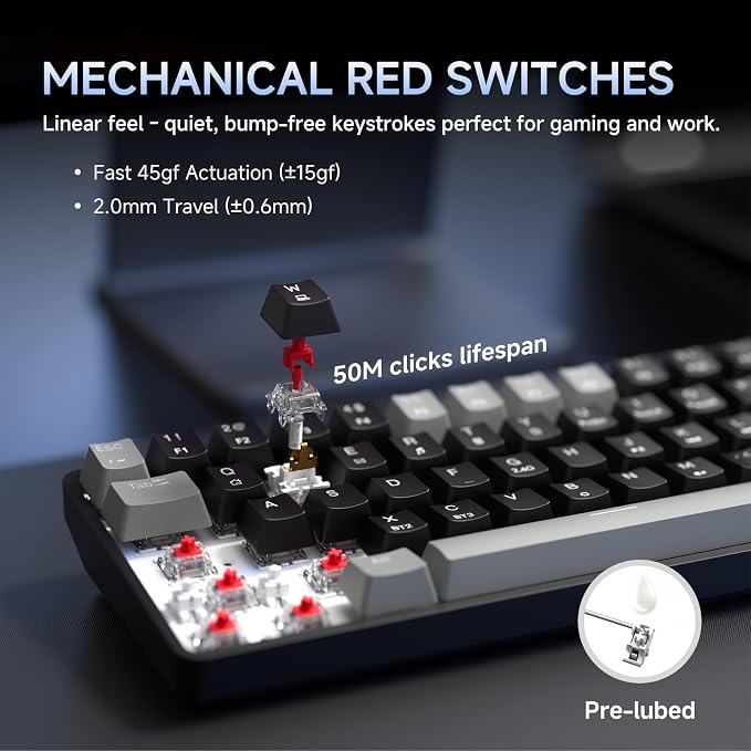 Grey Black/Red Switch