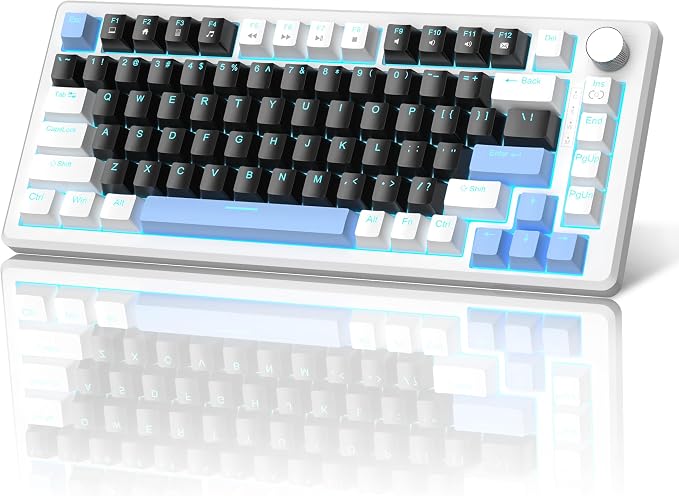 Black & Blue - Black Switch