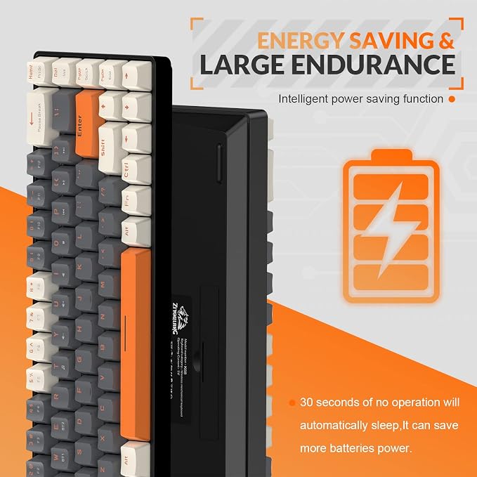 Grey & Orange/Red Switch