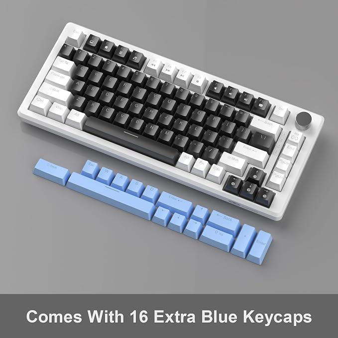 Black & Blue - Black Switch