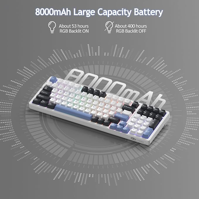 Black Blue/Ivory White Switch