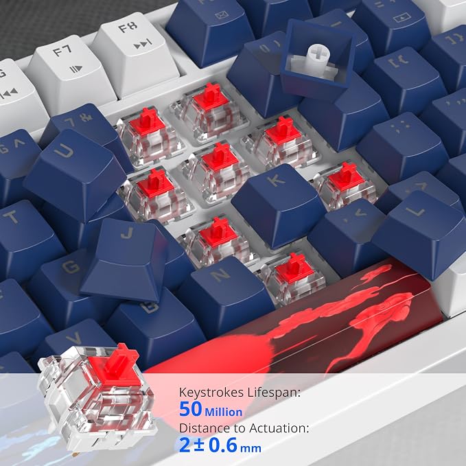 82 White Blue/Red Switch