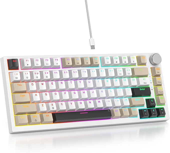 Gray Black White /Red Switch