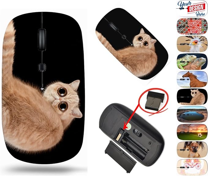 BYADAUa0CA_FUNNY SURPRISED CAT _016