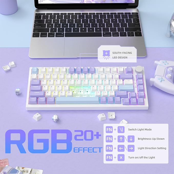 blue white purple/sea salt switches