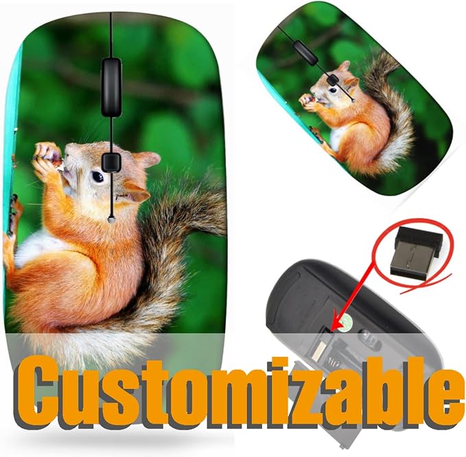 BYADAUaMqA_SQUIRREL EATING A DE_375