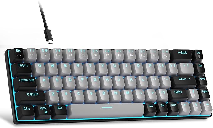 Grey/Blue Switch